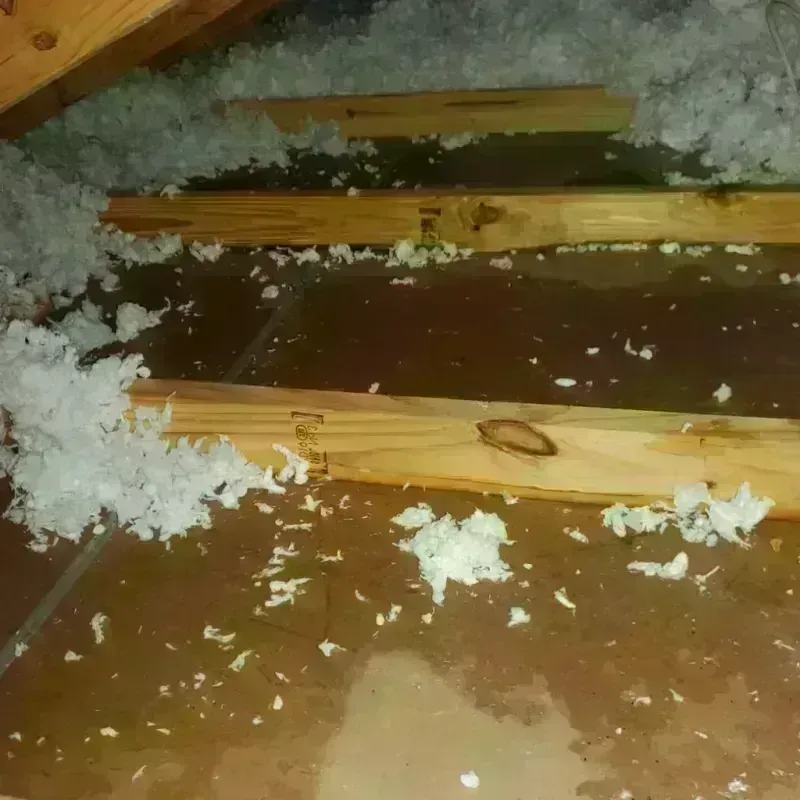 Attic Water Damage in Soledad, CA